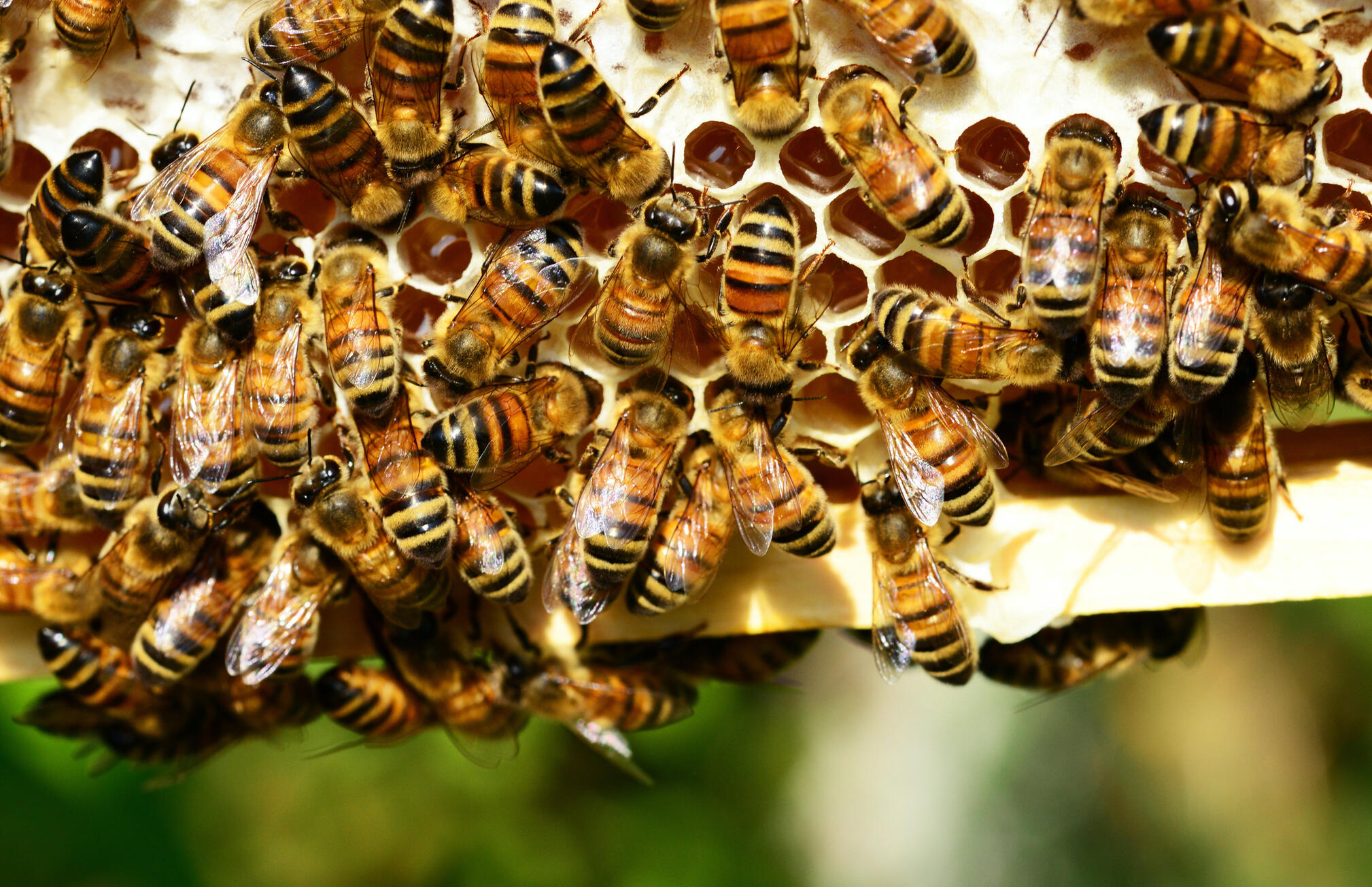 Karen&#39;s clients support the Earth on a micro and macro level